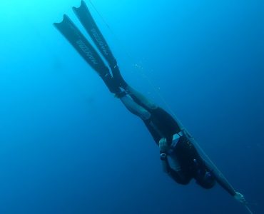 IMG_20241108_174216_214